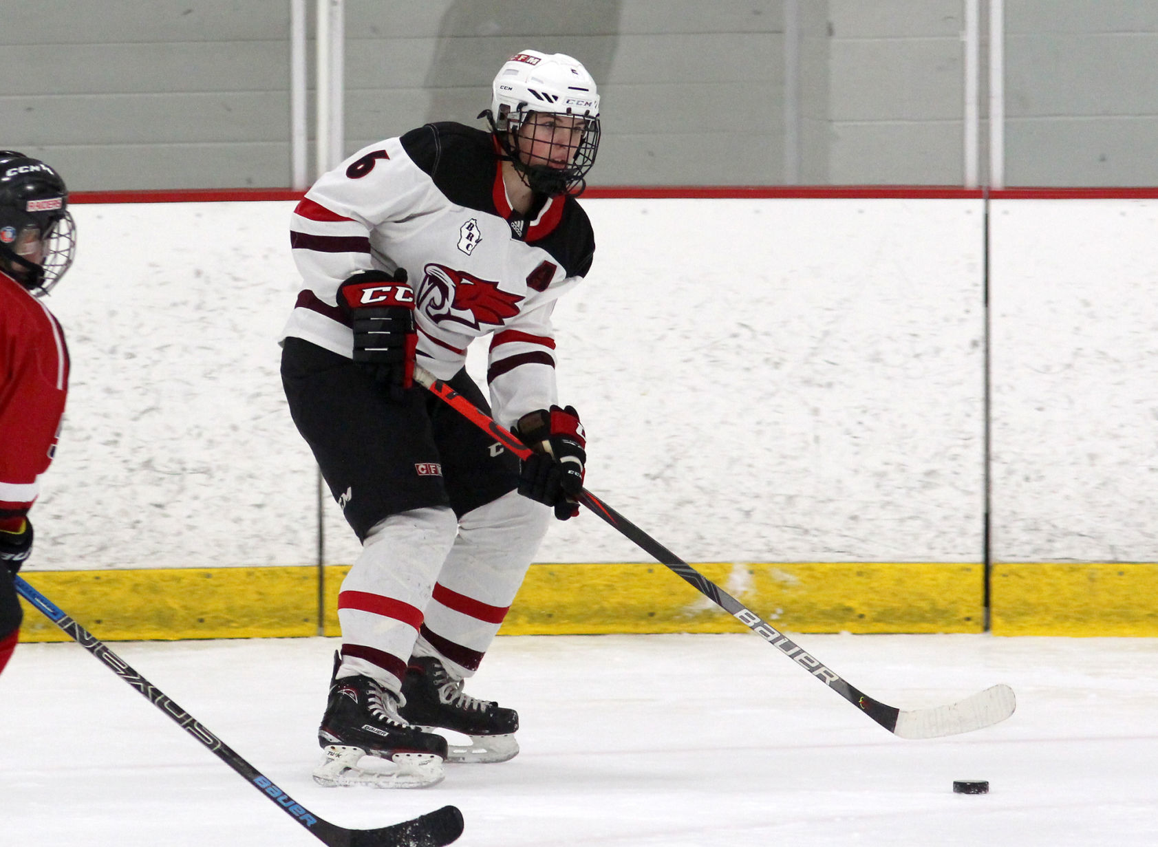 Medford at Chippewa Falls/Menomonie girls hockey 1-30-20